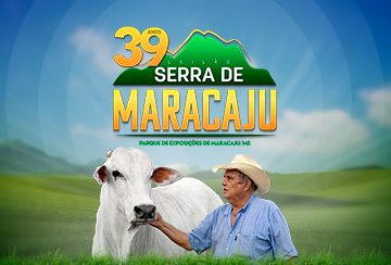 LEILÃO SERRA DE MARACAJU - 39 ANOS